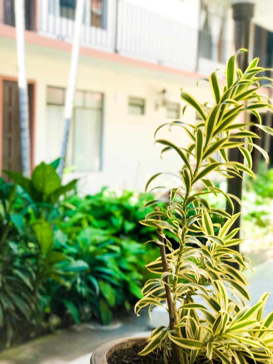 Hotel Villa De Flores Uruapan  Εξωτερικό φωτογραφία